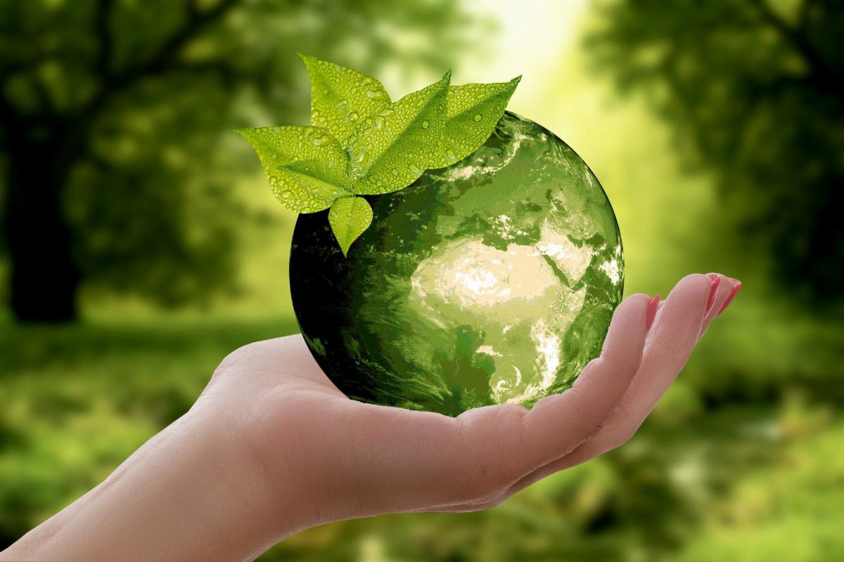 India's NDCs signal a climate leap