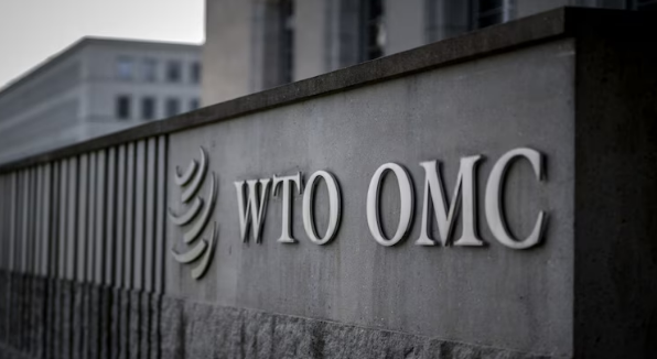 India and the WTO Investment Facilitation Agreement: Beyond misleading headlines