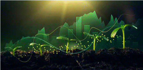 Deepening India's Secondary Market for Green Bonds: Opportunities, Challenges and a Strategic Growth