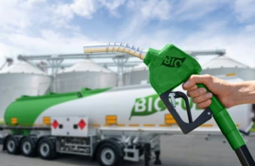 A sustainable biofuel policy needed for India’s energy transition