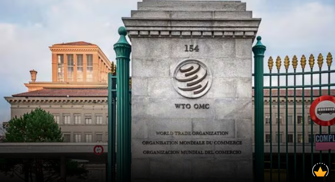 WTO talks: As power exertion intensifies, multilateralism has become more-relevant, not less
