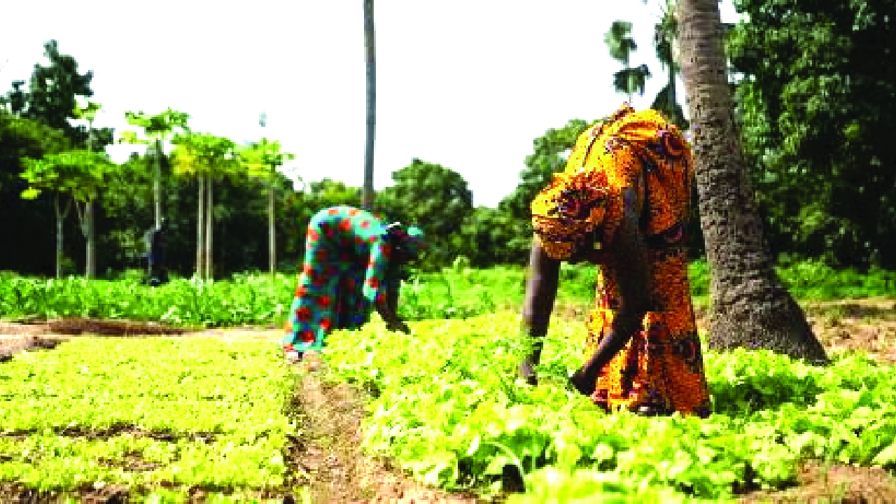 Billions for climate, but where is the justice?