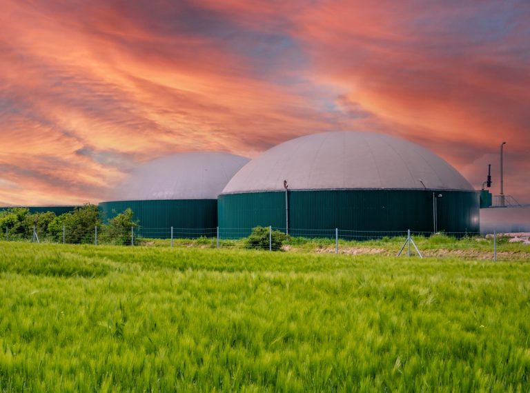 Rethinking Biogas Strategy: Using budget support to enable supply-side reform