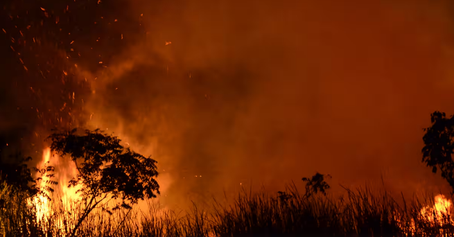 Beyond Carbon: Why COP must bring life cycle thinking into the climate conversation